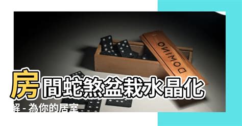 房間蛇煞化解|【房間蛇煞化解】房間蛇煞驚魂記！必學化煞秘技，輕。